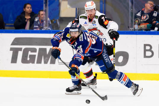 Växjös Roman Horak och Malmö Redhawks Marcus Björk