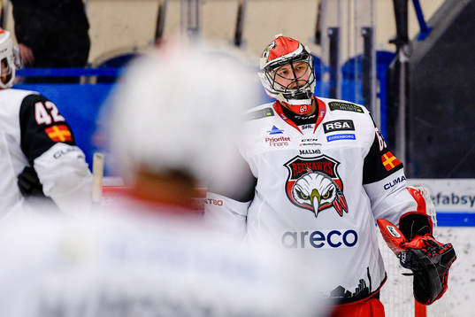 Malmö Redhawks målvakt Oscar Alsenfelt jublar