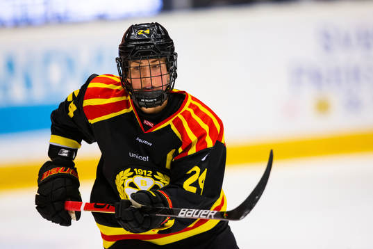 Brynäs Erika Grahm