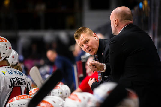 Malmö Redhawks assisterande tränare Jesper Mattsson