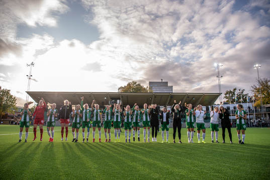 Hammarbys spelare jublar