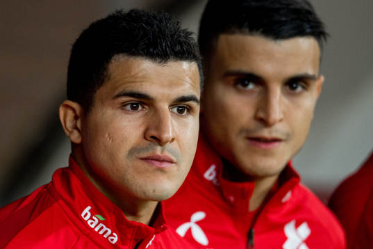 Tarik Elyounoussi and Mohamed Elyounoussi of Norway