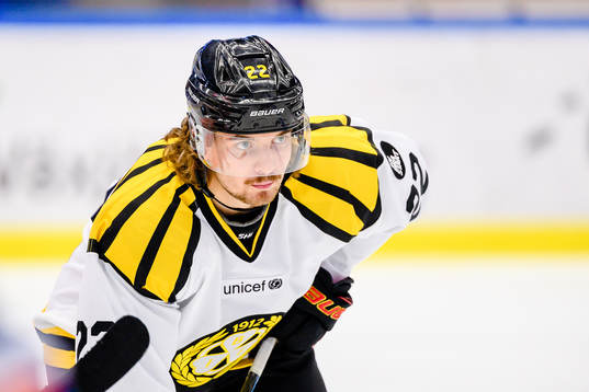 Brynäs Adam Brodecki