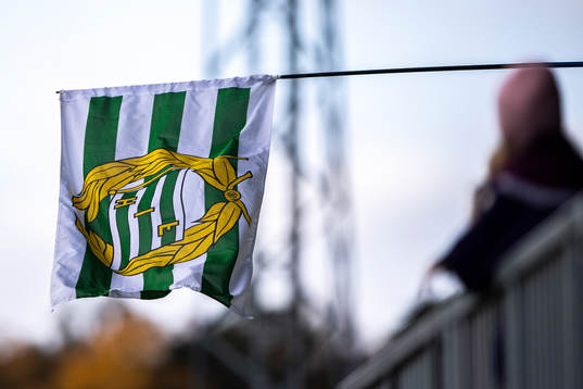 En Hammarbyflagga