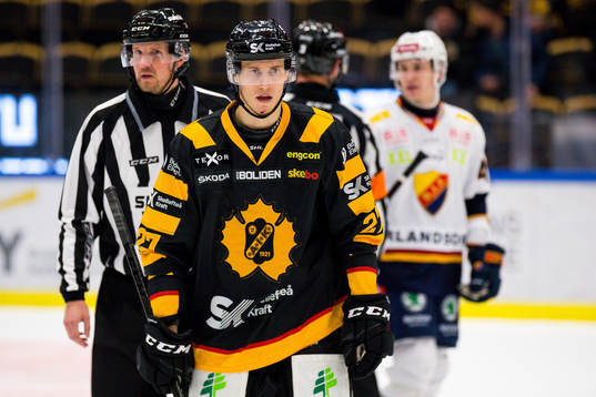 Skellefteås Robin Alvarez