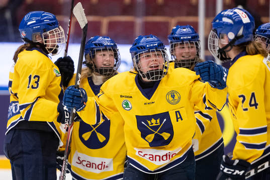 Dalarnas spelarna jublar