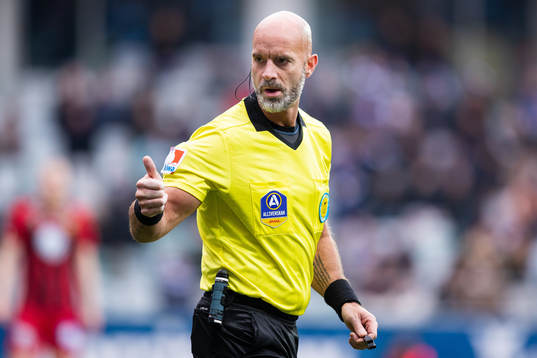 Domare Stefan Johannesson