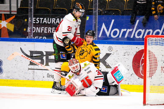 Skellefteås Andreas Wingerli