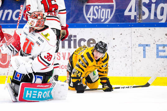 Skellefteås Andreas Wingerli