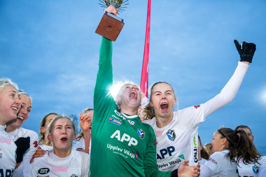 Växjös spelare jublar