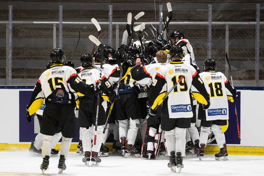 Södermanlands spelarna jublar