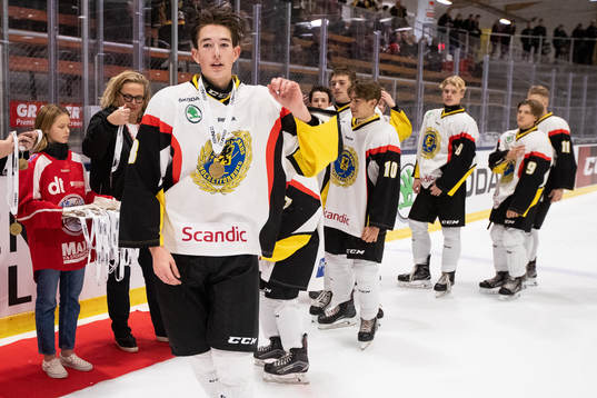 Södermanlands spelarna jublar