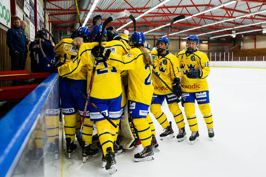 Sveriges spelare jublar