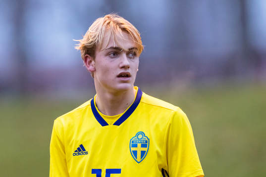 Sveriges Oskar Fallenius