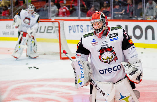 Malmö Redhawks målvakt Alfred Hallin
