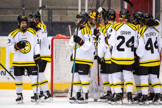 Brynäs spelare jublar