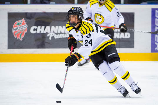 Brynäs Erika Grahm