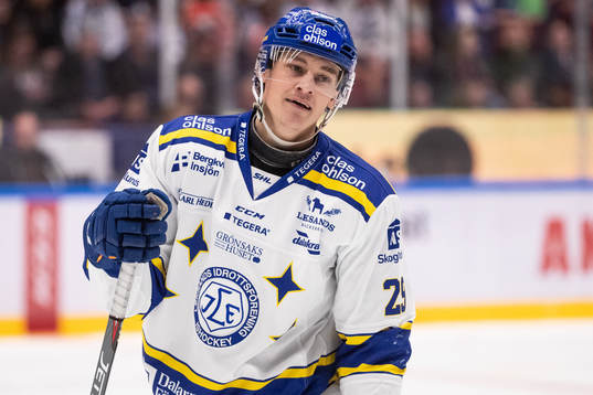 Leksands David Rundqvist