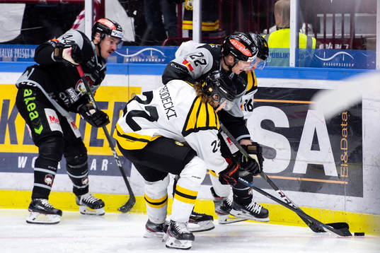 Brynäs Adam Brodecki och Malmö Redhawks Lars Bryggman