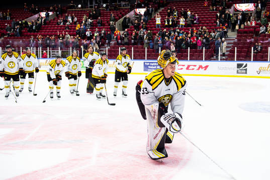 Brynäs målvakt Samuel Ersson jublar