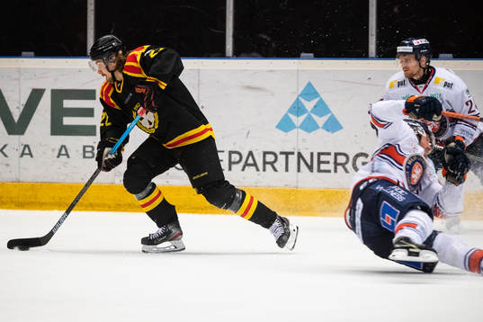 Brynäs Adam Brodecki
