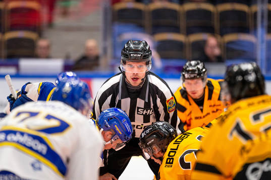 Domare David Bergman