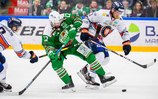 Rögles Taylor Matson