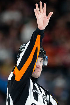 Domare Richard Magnusson