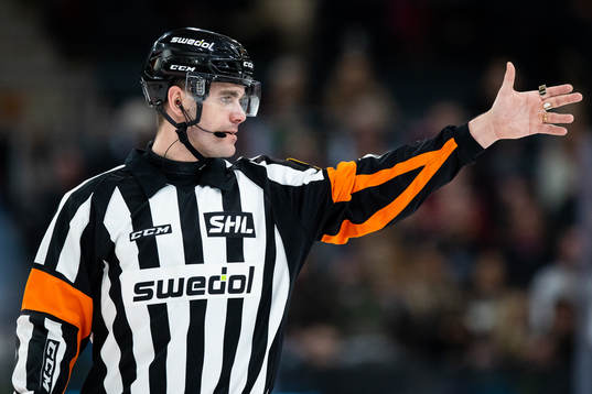 Domare Richard Magnusson