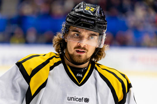 Brynäs Adam Brodecki