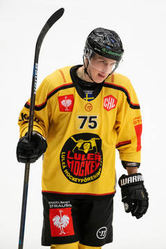 Arttu Ilomäki of Luleå