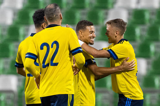 Jordan Larsson celebrates with Jesper Karlsson of Sweden after scoring 1-0
