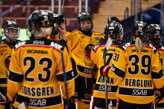 Luleås spelarna jublar