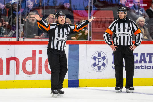 Domare Wolmer Edqvist dömer bort ett mål