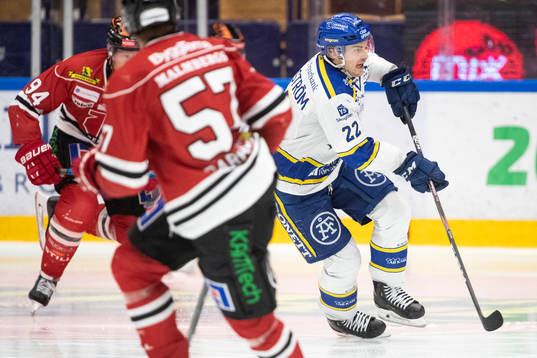 Leksands Sebastian Wännström
