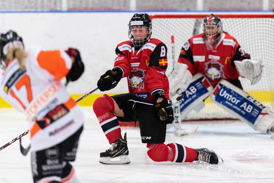 Malmö Redhawks Johanna Kellander