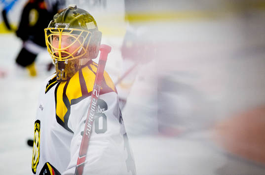 Brynäs målvakt Joacim Eriksson