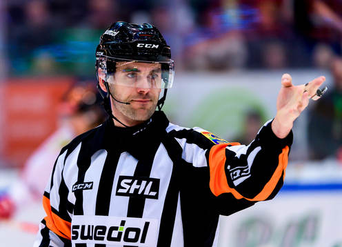 Domare Richard Magnusson