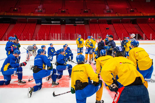 Players of Sweden