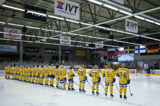 Sveriges spelare står uppställda