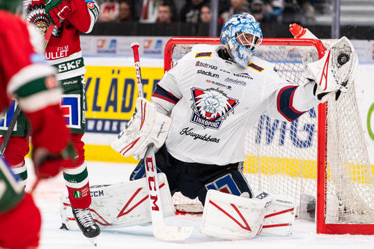 Linköpings målvakt Jonas Gustavsson