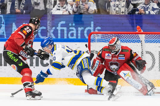 Malmö Redhawks Lars Bryggman och målvakt Oscar Alsenfelt