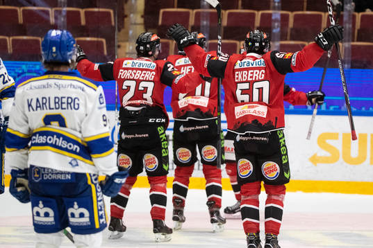 Malmö Redhawks spelarna jublar