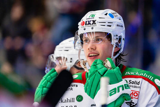 Rögles Dominik Bokk