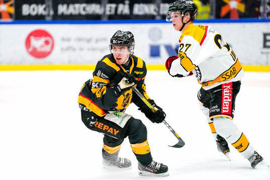 Skellefteås Andreas Wingerli