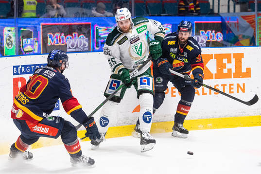 Färjestads Vojtech Mozik