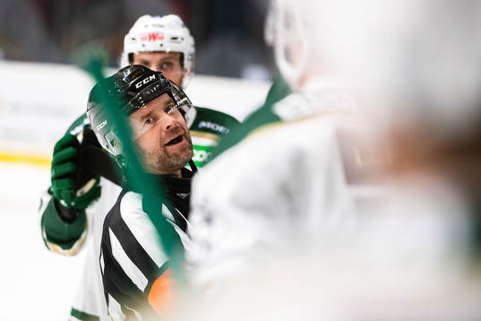 Domare Patrik Sjöberg