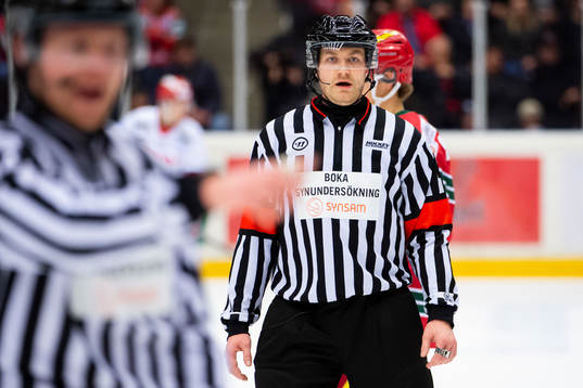 Domare Daniel Eriksson