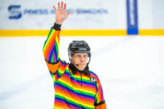 Domare Morgan Johansson