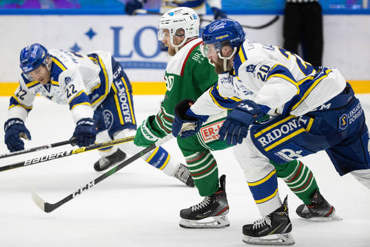 Rögles Ted Brithén och Leksands Mattias Karlsson